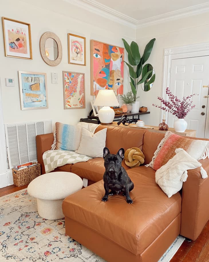 A 600SquareFoot, 1950aMonth New Jersey Rental Feels Much Larger